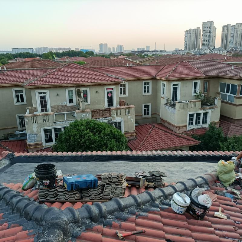 別墅滲漏修繕案例 (6)